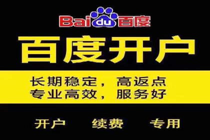 百度优化推广案例：打造行业领先品牌